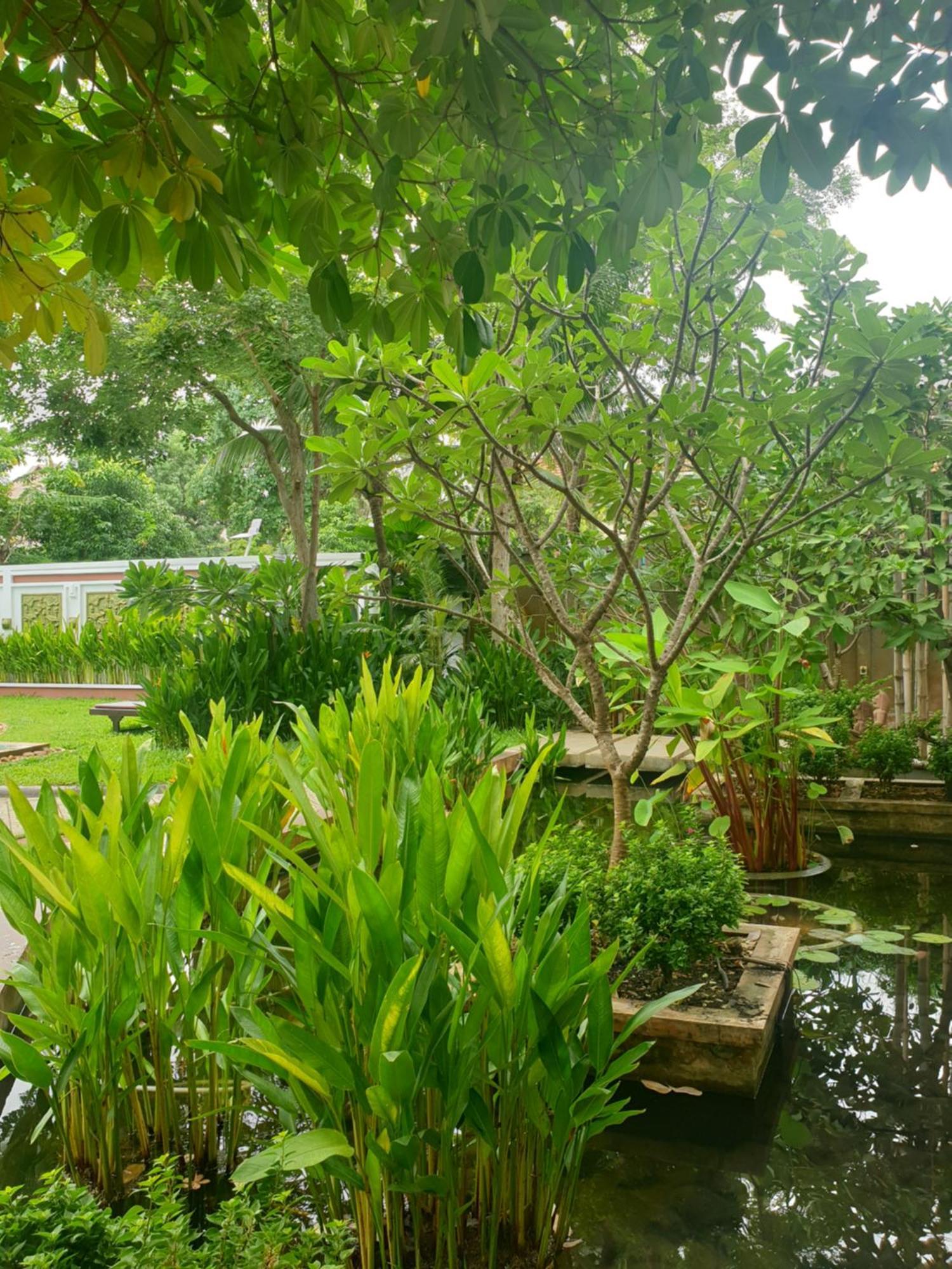Bamboo Retreat Villa Siem Reap Bagian luar foto